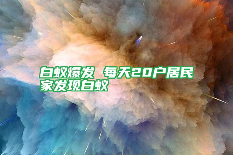 白蟻爆發(fā) 每天20戶(hù)居民家發(fā)現(xiàn)白蟻