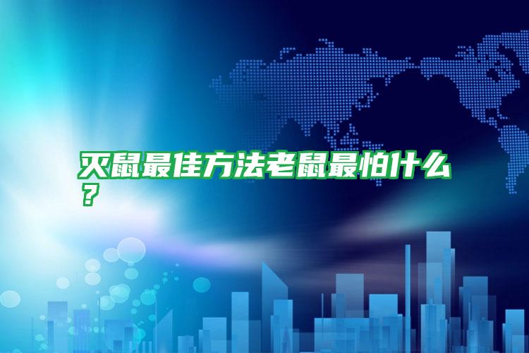 滅鼠最佳方法老鼠最怕什么?