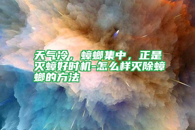 天氣冷,蟑螂集中,正是滅蟑好時機-怎么樣滅除蟑螂的方法