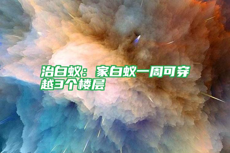 治白蟻:家白蟻一周可穿越3個樓層