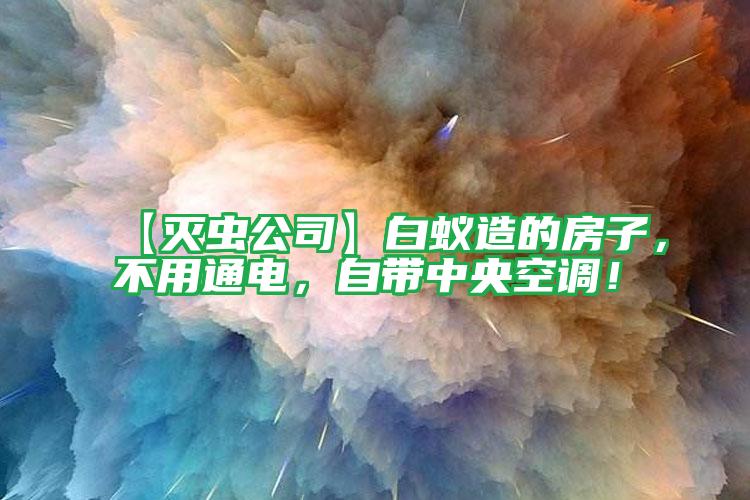 【滅蟲(chóng)公司】白蟻造的房子,不用通電,自帶中央空調(diào)!