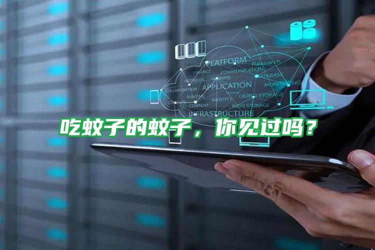 吃蚊子的蚊子,你見過(guò)嗎?
