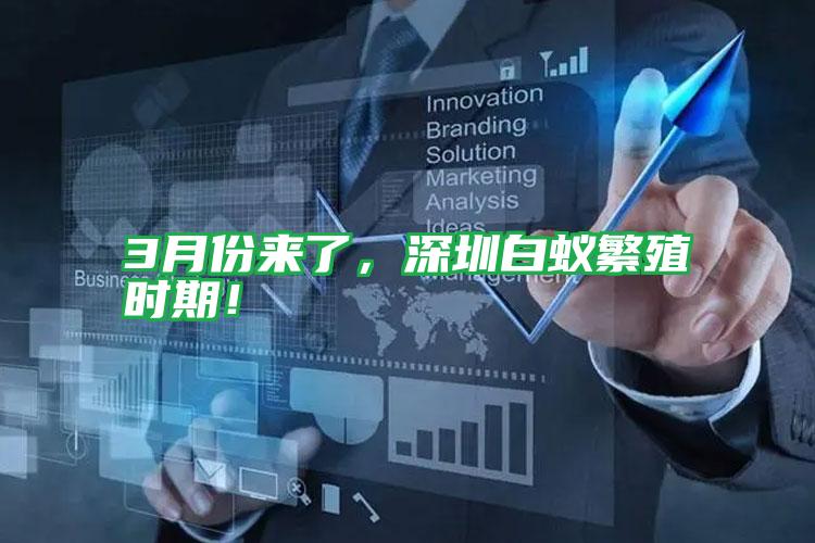 3月份來了,深圳白蟻繁殖時(shí)期!