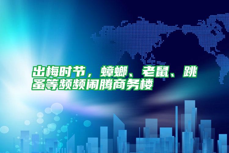 出梅時(shí)節(jié),蟑螂、老鼠、跳蚤等頻頻鬧騰商務(wù)樓