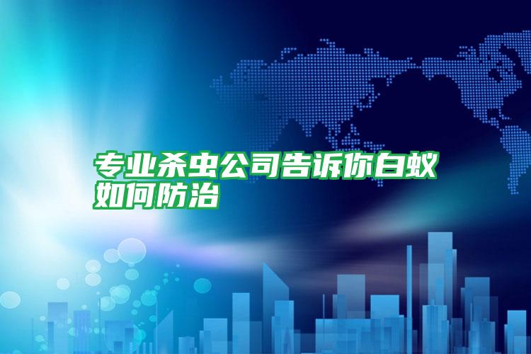 專(zhuān)業(yè)殺蟲(chóng)公司告訴你白蟻如何防治