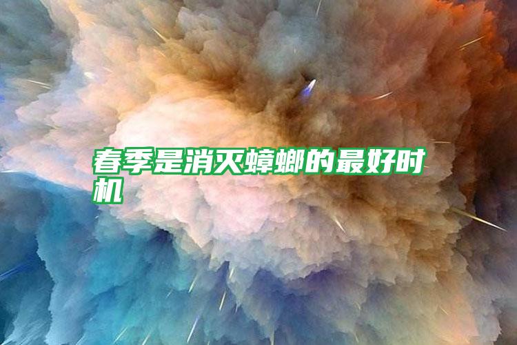 春季是消滅蟑螂的最好時機(jī)