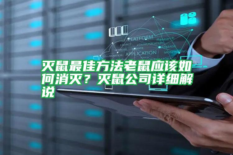 滅鼠最佳方法老鼠應(yīng)該如何消滅?滅鼠公司詳細解說