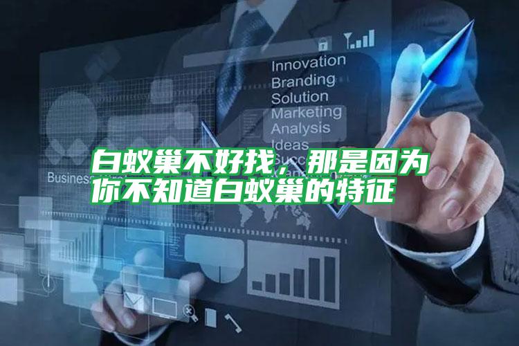 白蟻巢不好找，那是因?yàn)槟悴恢腊紫伋驳奶卣?/></p>
					 <p style=
