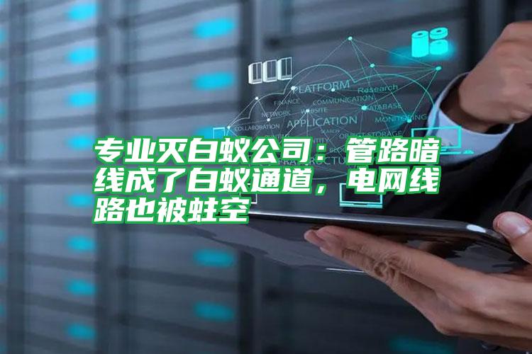專業(yè)滅白蟻公司:管路暗線成了白蟻通道,電網線路也被蛀空