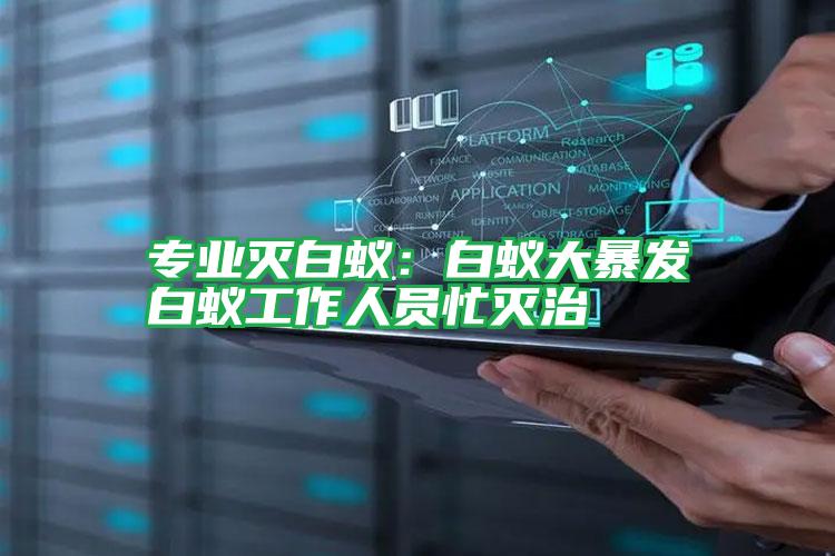 專(zhuān)業(yè)滅白蟻:白蟻大暴發(fā)白蟻工作人員忙滅治