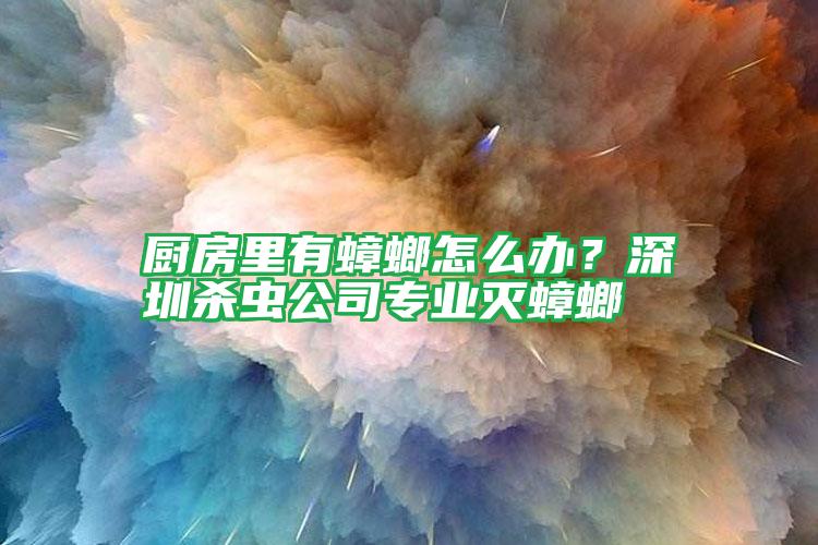 廚房里有蟑螂怎么辦?深圳殺蟲(chóng)公司專(zhuān)業(yè)滅蟑螂