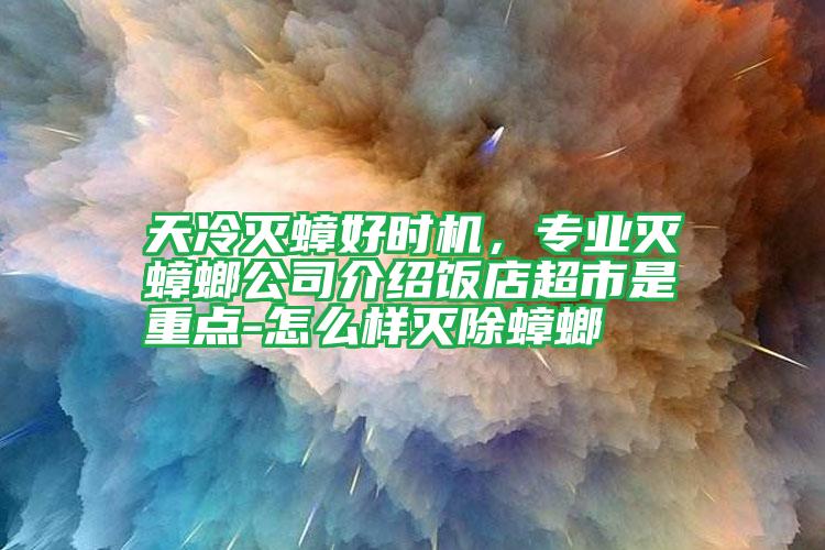 天冷滅蟑好時(shí)機(jī),專業(yè)滅蟑螂公司介紹飯店超市是重點(diǎn)-怎么樣滅除蟑螂