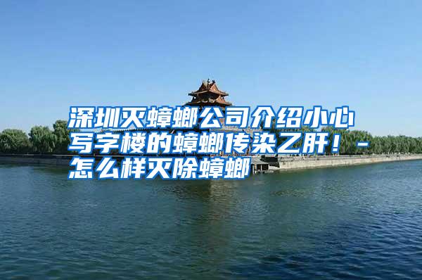 深圳滅蟑螂公司介紹小心寫字樓的蟑螂傳染乙肝！-怎么樣滅除蟑螂