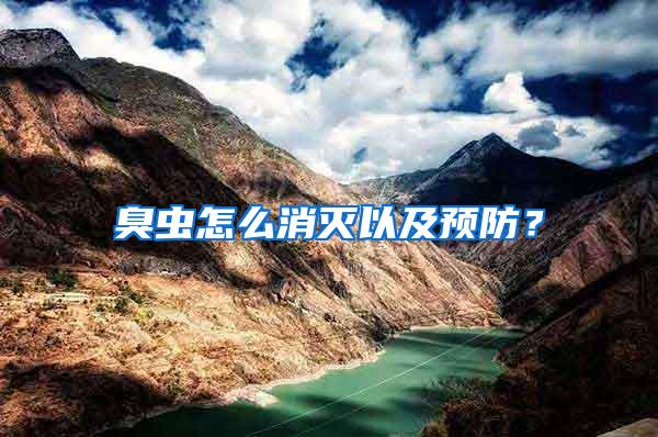 臭蟲(chóng)怎么消滅以及預(yù)防?