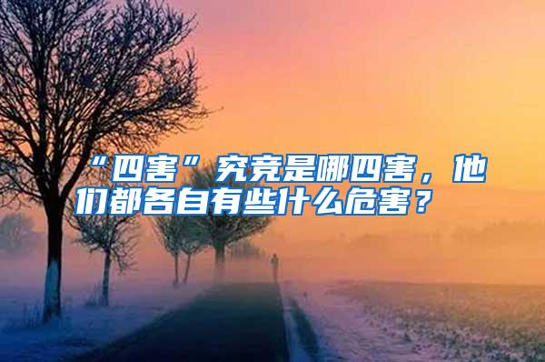 “四害”究競(jìng)是哪四害,他們都各自有些什么危害?