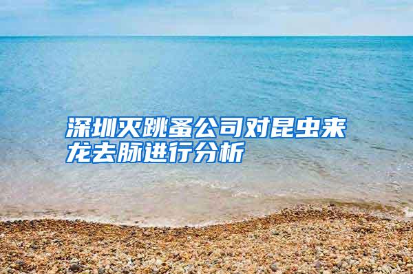 深圳滅跳蚤公司對(duì)昆蟲(chóng)來(lái)龍去脈進(jìn)行分析
