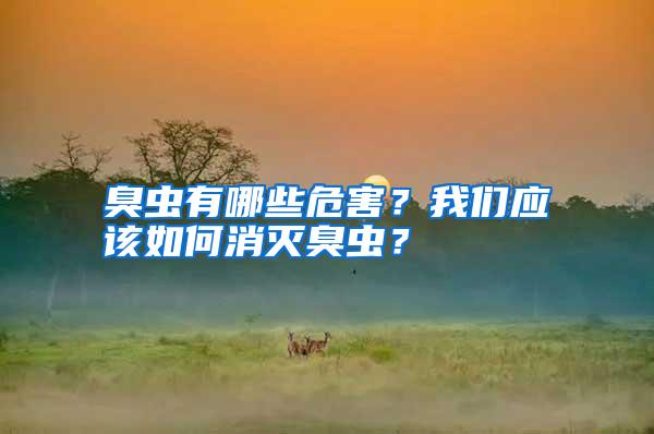 臭蟲(chóng)有哪些危害?我們應(yīng)該如何消滅臭蟲(chóng)?