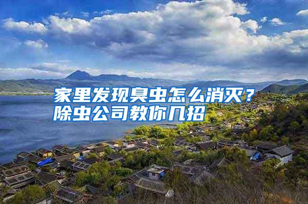 家里發(fā)現(xiàn)臭蟲(chóng)怎么消滅?除蟲(chóng)公司教你幾招