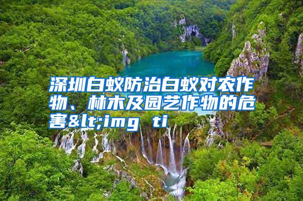 深圳白蟻防治白蟻對農作物、林木及園藝作物的危害<img ti