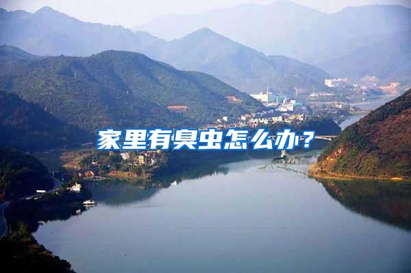 家里有臭蟲(chóng)怎么辦?