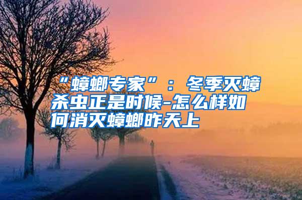 “蟑螂專家”:冬季滅蟑殺蟲正是時候-怎么樣如何消滅蟑螂昨天上