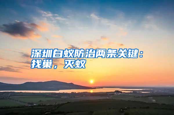 深圳白蟻防治兩條關鍵:找巢,滅蟻