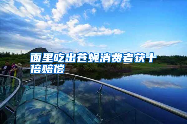 面里吃出蒼蠅消費者獲十倍賠償