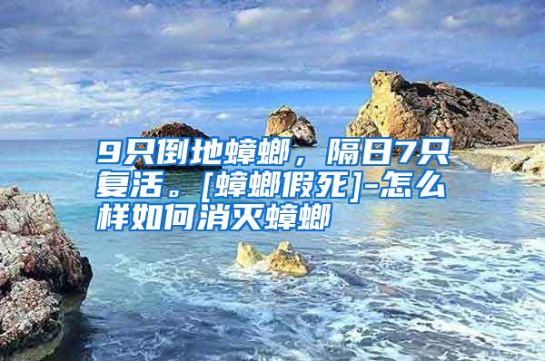 9只倒地蟑螂，隔日7只復(fù)活。[蟑螂假死]-怎么樣如何消滅蟑螂