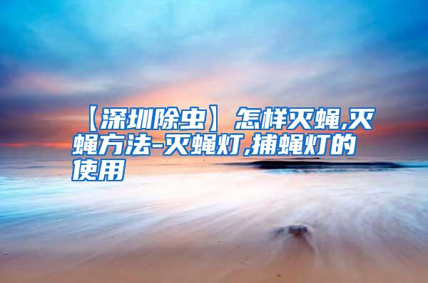 【深圳除蟲(chóng)】怎樣滅蠅,滅蠅方法-滅蠅燈,捕蠅燈的使用