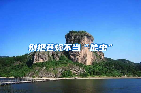 別把蒼蠅不當(dāng)“能蟲(chóng)”