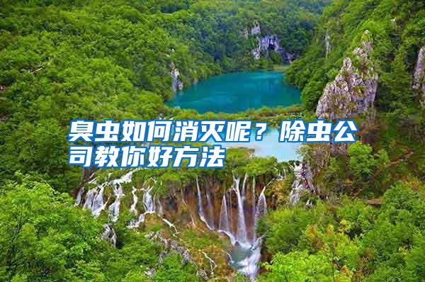 臭蟲(chóng)如何消滅呢?除蟲(chóng)公司教你好方法