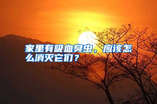 家里有吸血臭蟲,應該怎么消滅它們?