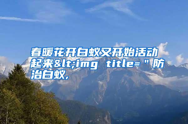 春暖花開白蟻又開始活動(dòng)起來<img title="防治白蟻,