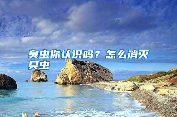 臭蟲(chóng)你認(rèn)識(shí)嗎?怎么消滅臭蟲(chóng)