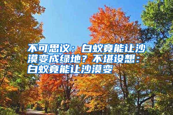 不可思議:白蟻竟能讓沙漠變成綠地?不堪設想:白蟻竟能讓沙漠變