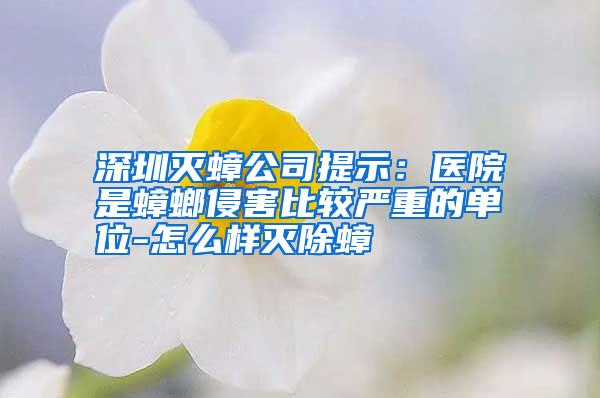 深圳滅蟑公司提示:醫(yī)院是蟑螂侵害比較嚴重的單位-怎么樣滅除蟑