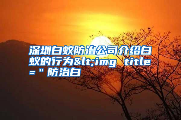 深圳白蟻防治公司介紹白蟻的行為<img title=＂防治白