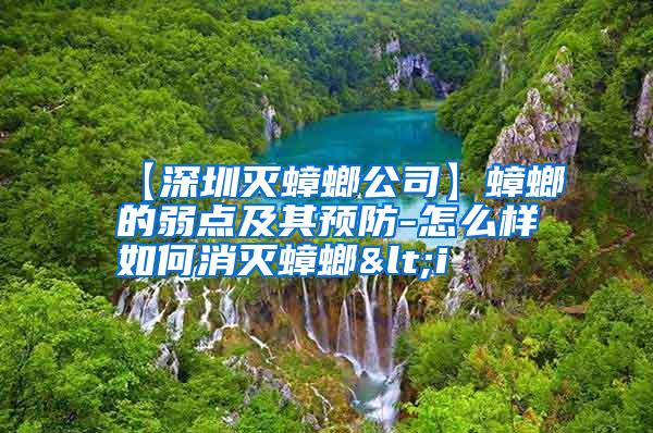 【深圳滅蟑螂公司】蟑螂的弱點及其預(yù)防-怎么樣如何消滅蟑螂<i