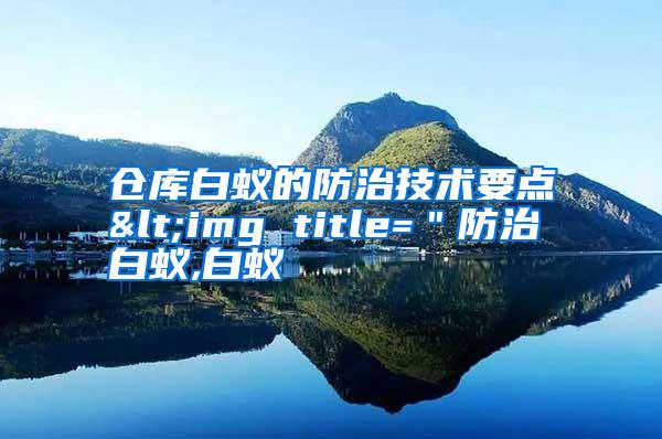 倉(cāng)庫(kù)白蟻的防治技術(shù)要點(diǎn)<img title="防治白蟻,白蟻