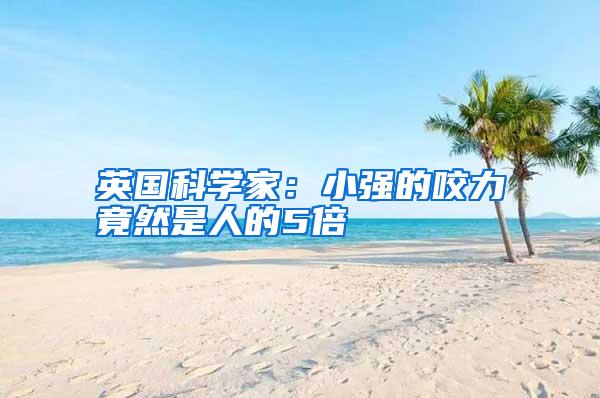 英國(guó)科學(xué)家:小強(qiáng)的咬力竟然是人的5倍