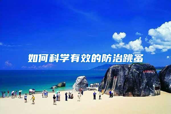 如何科學(xué)有效的防治跳蚤