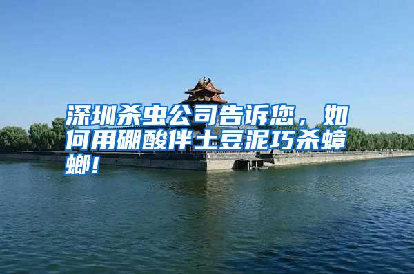 深圳殺蟲(chóng)公司告訴您,如何用硼酸伴土豆泥巧殺蟑螂!