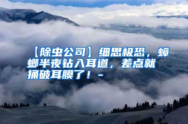【除蟲公司】細(xì)思極恐,蟑螂半夜鉆入耳道,差點就捅破耳膜了!-