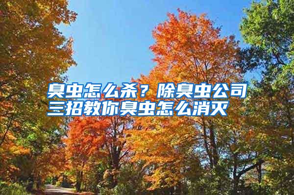 臭蟲(chóng)怎么殺?除臭蟲(chóng)公司三招教你臭蟲(chóng)怎么消滅
