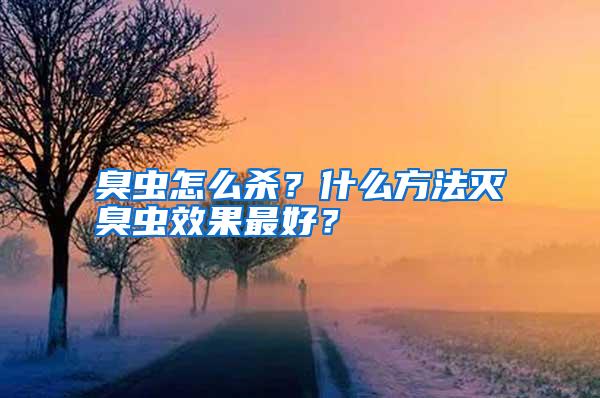 臭蟲(chóng)怎么殺?什么方法滅臭蟲(chóng)效果最好?