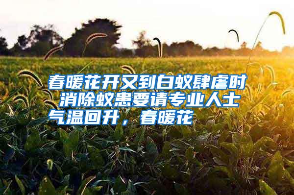 春暖花開又到白蟻肆虐時 消除蟻患要請專業(yè)人士氣溫回升,春暖花