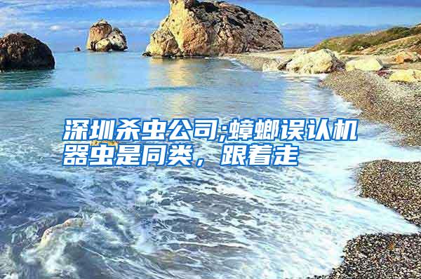 深圳殺蟲(chóng)公司;蟑螂誤認(rèn)機(jī)器蟲(chóng)是同類(lèi),跟著走