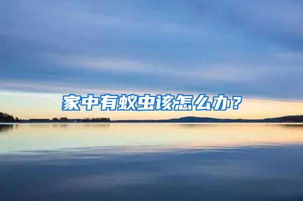 家中有蟻蟲(chóng)該怎么辦?