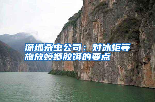 深圳殺蟲公司:對冰柜等施放蟑螂膠餌的要點