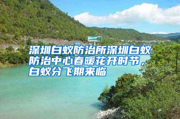 深圳白蟻防治所深圳白蟻防治中心春暖花開時(shí)節(jié),白蟻分飛期來臨